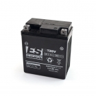 Batterie ENERGYSAFE ESTZ 8V (WC) AGM / Gel