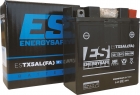 Batterie ENERGYSAFE ESTX12A-A (WC) AGM / Gel